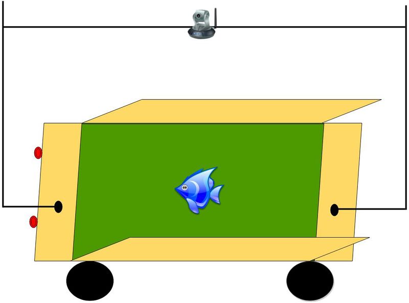 File:S15 244 FISHONWHEELS1.jpg
