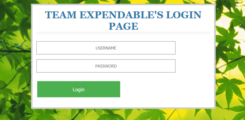 File:CMPE244 S16 Expendables Webpage 1.png